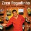Zeca Pagodinho