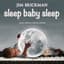 Jim Brickman