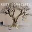 Koby Israelite
