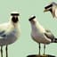 Blind Seagull