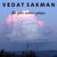 Vedat Sakman