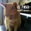 a_hisa