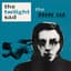 The Twilight Sad