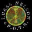 Lukas Nelson and Promise of the Real