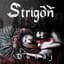 Strigôň