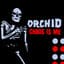 Orchid
