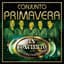 Conjunto Primavera