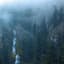 Wolves in the Throne Room