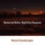 Natural Soundscapes