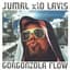 Jumal X10 Lavis