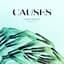 Causes