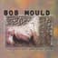 Bob Mould