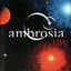 Ambrosia