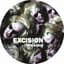 Excision