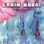 Erkin Koray