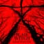 Adam Wingard