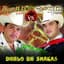 El Tigrillo Palma
