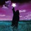 Porcupine Tree