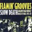 Flamin' Groovies