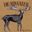 Headwater