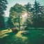 Blur Park