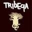 Tribeqa
