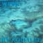 Aqualise