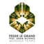 Fedde Le Grand