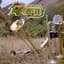 Banda Maguey