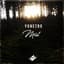 Yonetro