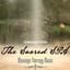 Massage Therapy Music