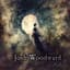 Josh Woodward