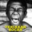 Kelompok penerbang roket