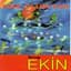 Grup Ekin