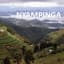NYAMPINGA