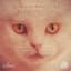Suara