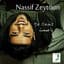 Nassif Zeytoun