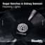 Roger Sanchez