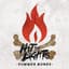 Hit the Lights