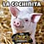 LA COCHINA