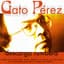 Gato Pérez