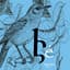 Element Band