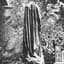 Converge