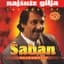 Saban Bajramovic