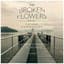 The Broken Flowers Project