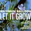 Maximum Balloon