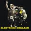 Električni Orgazam
