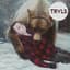 Truls