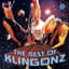 The Klingonz