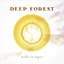 Deep Forest